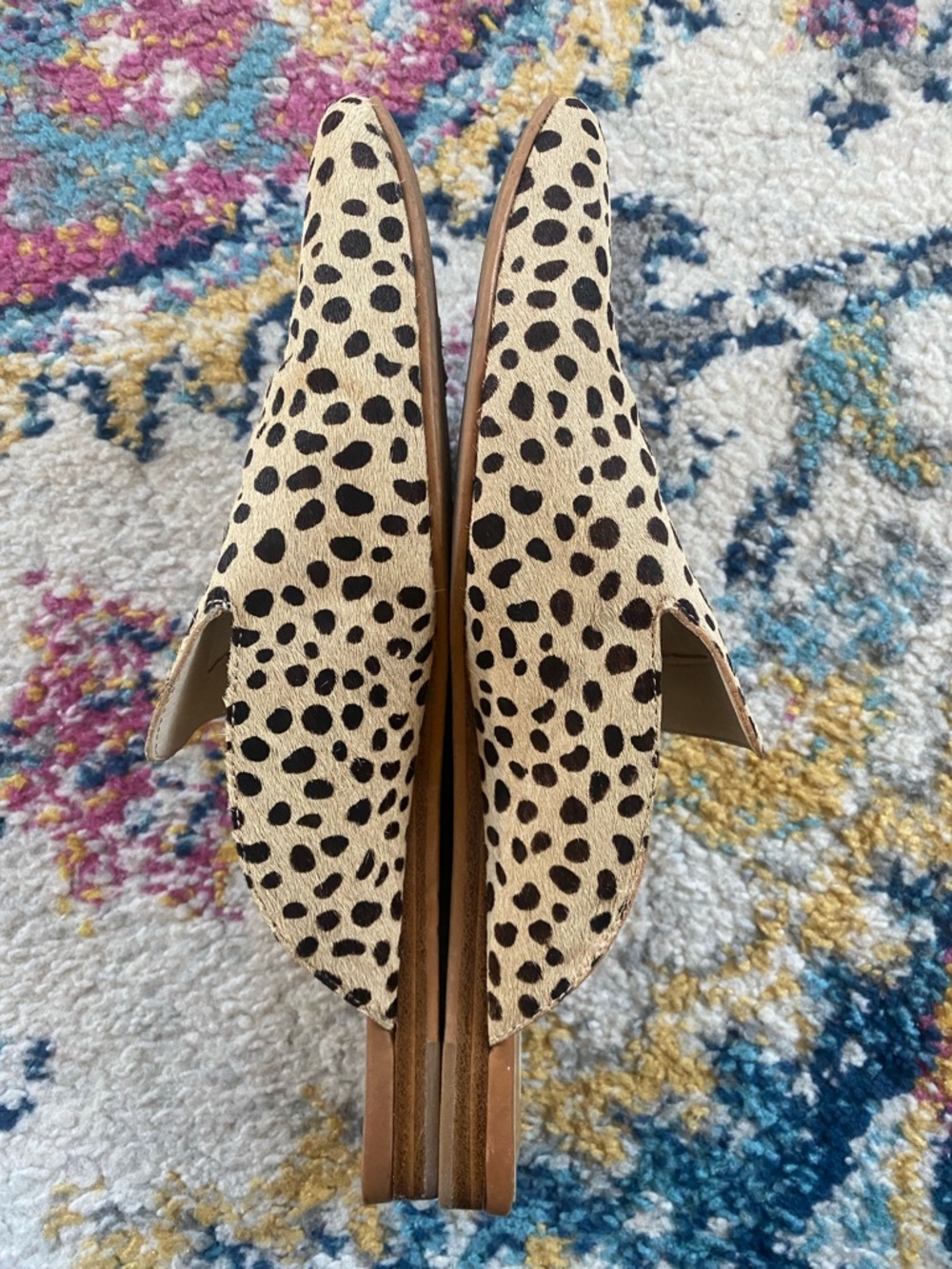 Dolce Vita Shoes - Picture 7 of 11